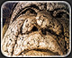 flyer icon