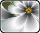 flyer icon