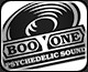 flyer icon